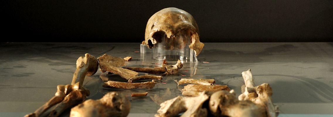 1856 wurde der erste Neandertaler gefunden. DNA-Analysen belegen, dass er kein Vorfahre des heutigen Menschen ist.