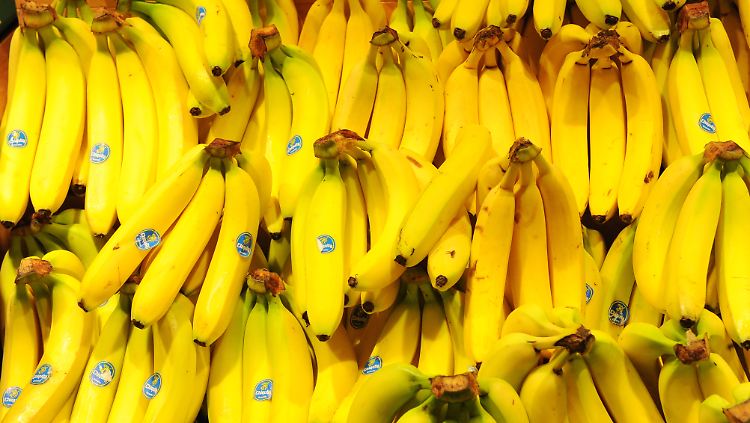 Erst Ende des 19. Jahrhunderts kamen Bananen nach Deutschland.