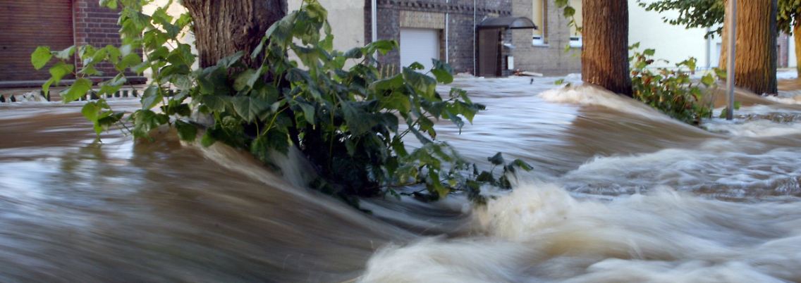 Wittenberg im August 2002: Die Elbe fließt durch den Stadtteil Pratau.