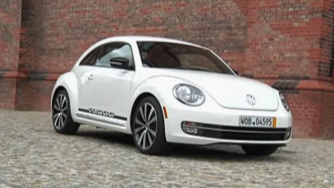 Beetle.jpg