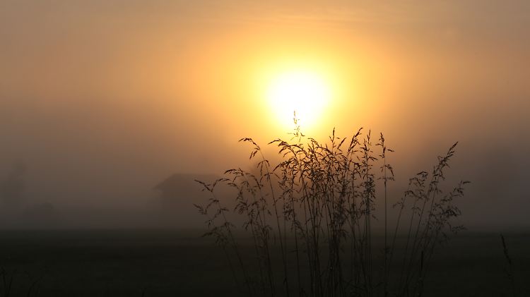 Ein Lichtblick vom DIW