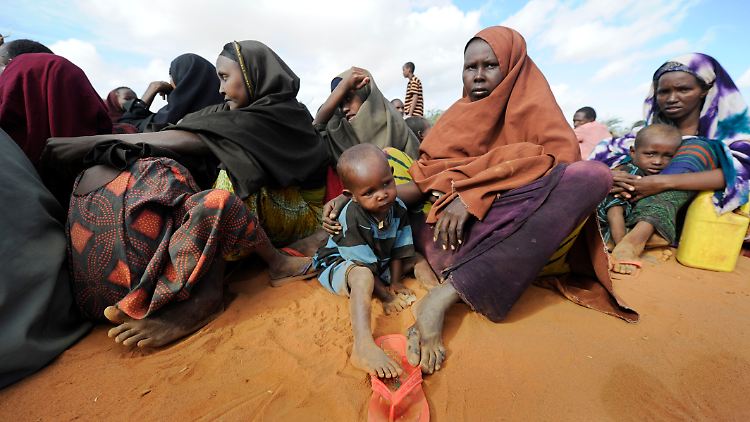 Die tödliche Schlafkrankheit kommt in 36 afrikanischen Ländern vor.