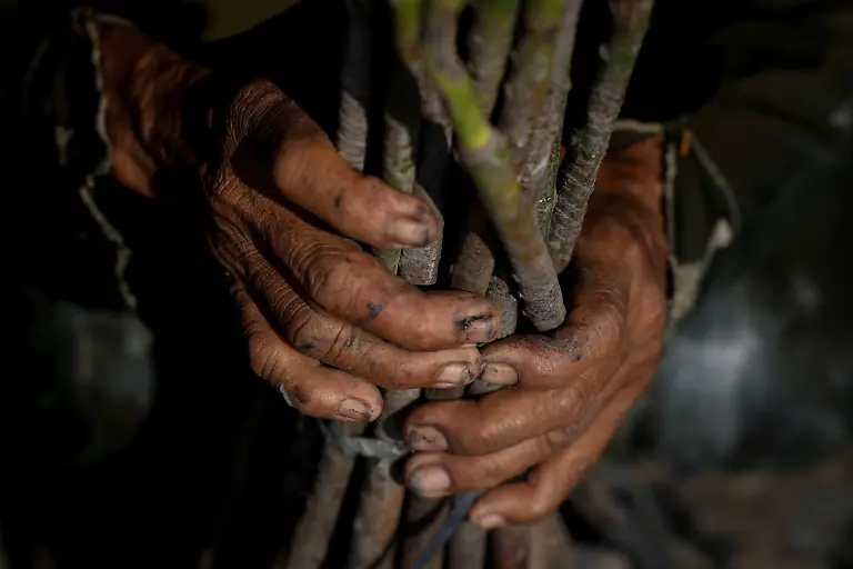 Pasijah-mit-Mangroven4