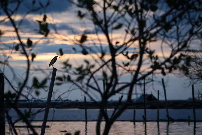 2025-04-18T233122Z-312439549-RC2XWCAADTAL-RTRMADP-3-CLIMATE-CHANGE-INDONESIA-SINKING