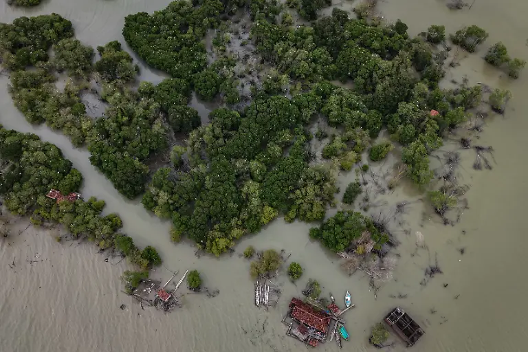Mangroven-und-Pasijahs-Haus-aus-der-Luft