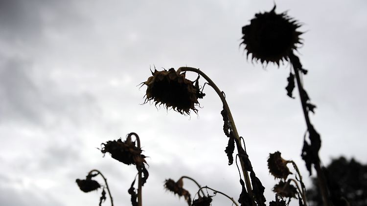 Der Herbst ist nicht mehr aufzuhalten.