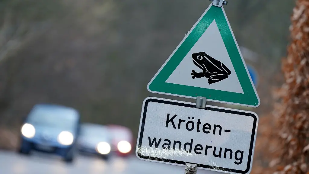 Bei-der-Zerstoerung-der-Amphibienzaunanlage-entstand-ein-Schaden-im-sechsstelligen-Bereich