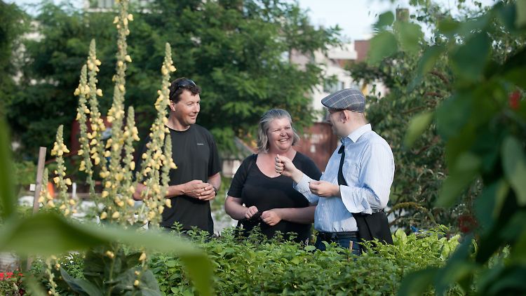 Der "Berlin-Greeter" Hans Strömsdörfer (r) unterwegs mit australischen Touristen im Prinzessinengarten am Moritzplatz in Berlin-Kreuzberg.