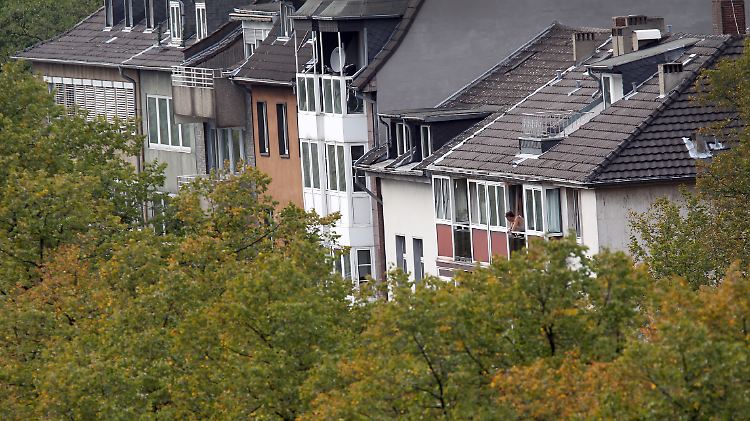 Häuser hinter Bäumen eines Parks in der Innenstadt von Düsseldorf.