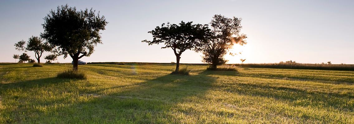 Unterwegs im vergessenen Osten des Saarlandes - die Landschaft entlang des Europäischen Mühlenradweges ist eine Idylle.