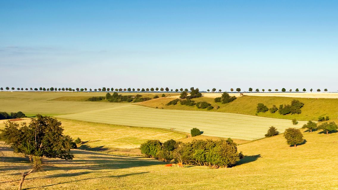 Flache Hügel, wenig Steigungen, weite Blicke bis zum Horizont - die Landschaft entlang des Europäischen Mühlenradwegs kommt Radlern sehr gelegen.