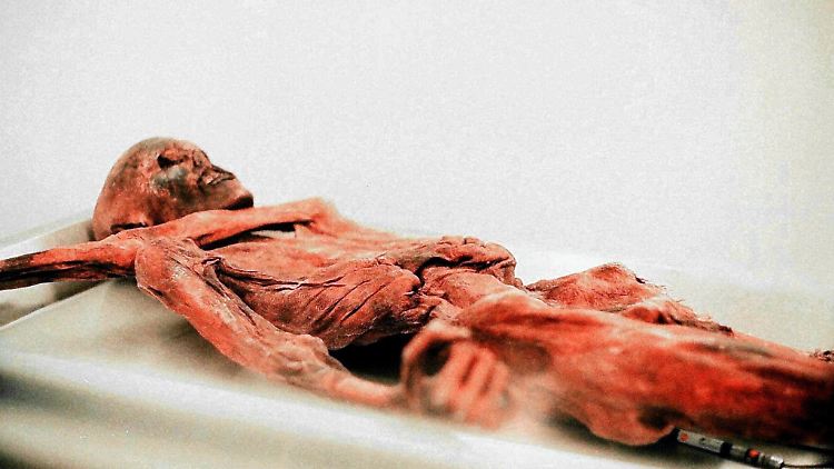 Die Eismumie wurde vor 20 Jahren entdeckt.