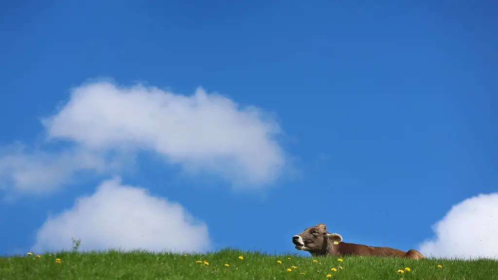 Die-Menschen-in-Bayern-koennen-sich-auf-ueberwiegend-sonniges-Wetter-freuen-in-den-Alpen-sind-teils-Gewitter-zu-erwarten
