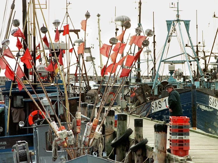 In Sassnitz ist eine Hotelanlage mit 200 Betten geplant. (Fischkutter im Hafen von Sassnitz)