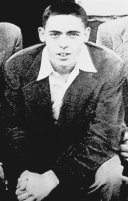 epi-226741148-DDP-ddp-00344067-Thomas-Pynchon-A-J