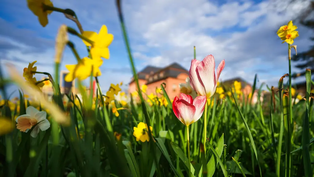 Der-Fruehling-zeigt-sich-in-der-neuen-Woche-von-seiner-sonnigen-Seite