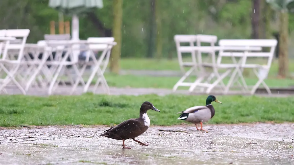 Der-DWD-hat-fuer-ganz-Sachsen-eine-Wetterwarnung-ausgesprochen