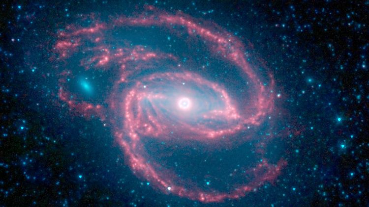 Die Galaxie NGC 1097. 