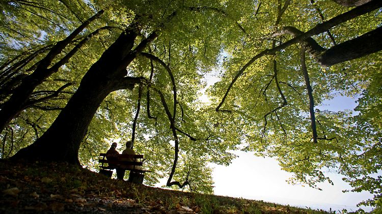 Der Sommer war - auf seine eigene Art - groß.