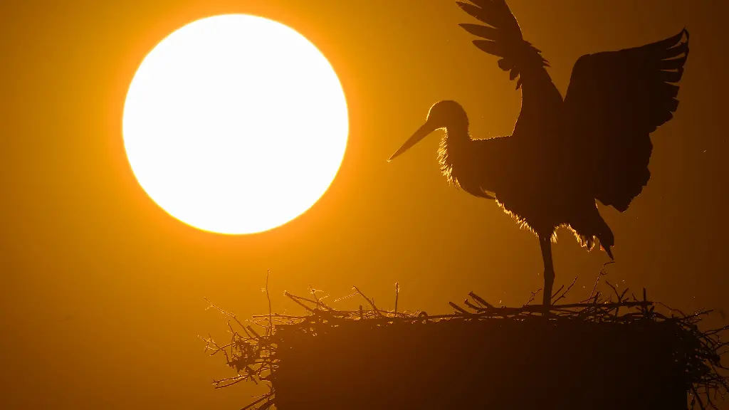 Die-Aussichten-fuer-die-naechsten-Tage-in-der-Hauptstadtregion-sind-sonnig-und-warm