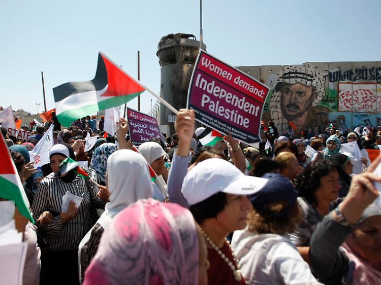 Palästinensische, israelische und andere Aktivisten demonstrieren an einem Checkpoint nahe Ramallah für "Palästina 194".
