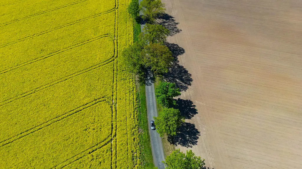 In-einigen-Orten-Brandenburgs-ist-das-Wetter-den-ganzen-Tag-ueber-heiter