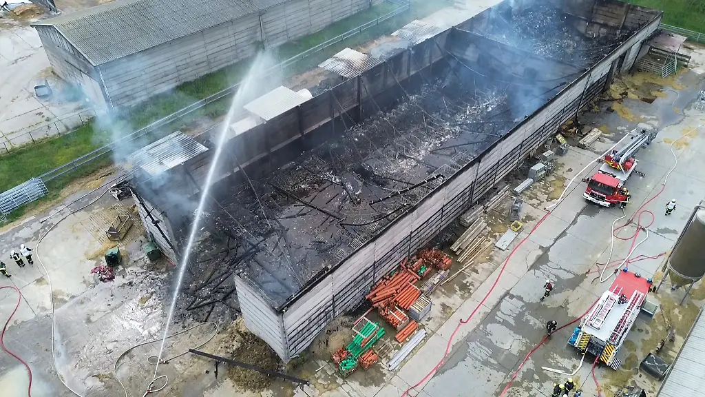 Feuerwehrgrosseinsatz-auf-einem-Milchhof-in-Tucheim-im-Jerichower-Land-Viele-Kaelber-verendeten-in-den-Flammen