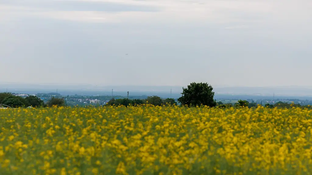 Etwas-trueber-als-zuletzt-koennte-der-Himmel-in-Rheinland-Pfalz-und-dem-Saarland-daherkommen