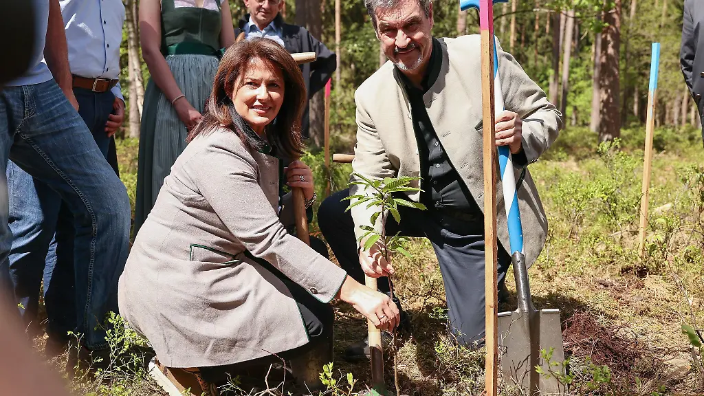 Ministerpraesident-Markus-Soeder-und-Agrarministerin-Michaela-Kaniber-beide-CSU-beim-Pflanzen-einer-Esskastanie