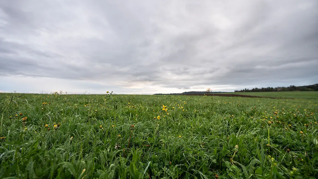 Eine-Kaltfront-aus-dem-Norden-soll-sich-in-der-Nacht-auf-Sonntag-ausbreiten