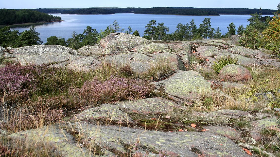 In Aland gibt es viel urwüchsige Natur zu entdecken.