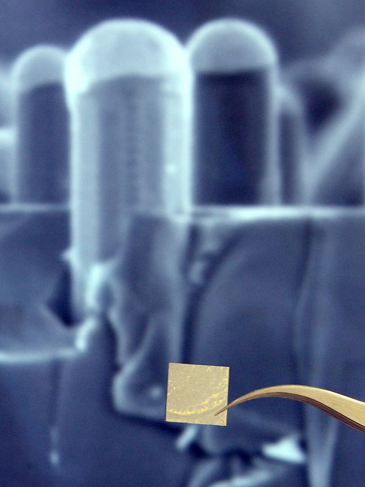 Die Nanotechnologie gilt als Zukunftswissenschaft mit neuen Forschungsansätzen. Sie hat allerdings auch ihre Kehrseite.