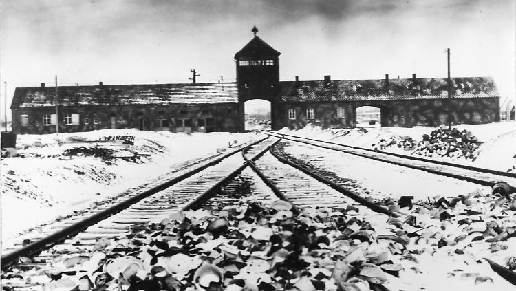 Aus ganz Europa wurden Juden nach Auschwitz gebracht.