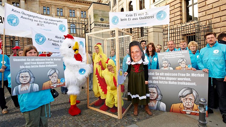 Der Deutsche Tierschutzbund demonstriert vor dem Bundesrat gegen die geplante Verlängerung der Käfighaltung bis 2035.