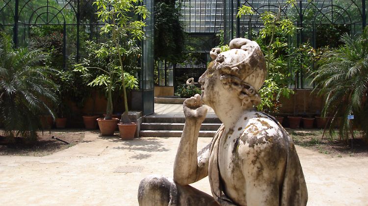 Im Botanischen Garten von Palermo suchte schon Goethe nach seltenen Pflanzen. 