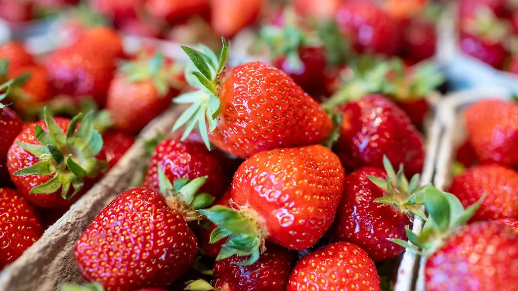 Sauber-und-sicher-Stiftung-Warentest-fand-in-keiner-der-zwoelf-Erdbeerproben-gesundheitlich-bedenkliche-Rueckstaende