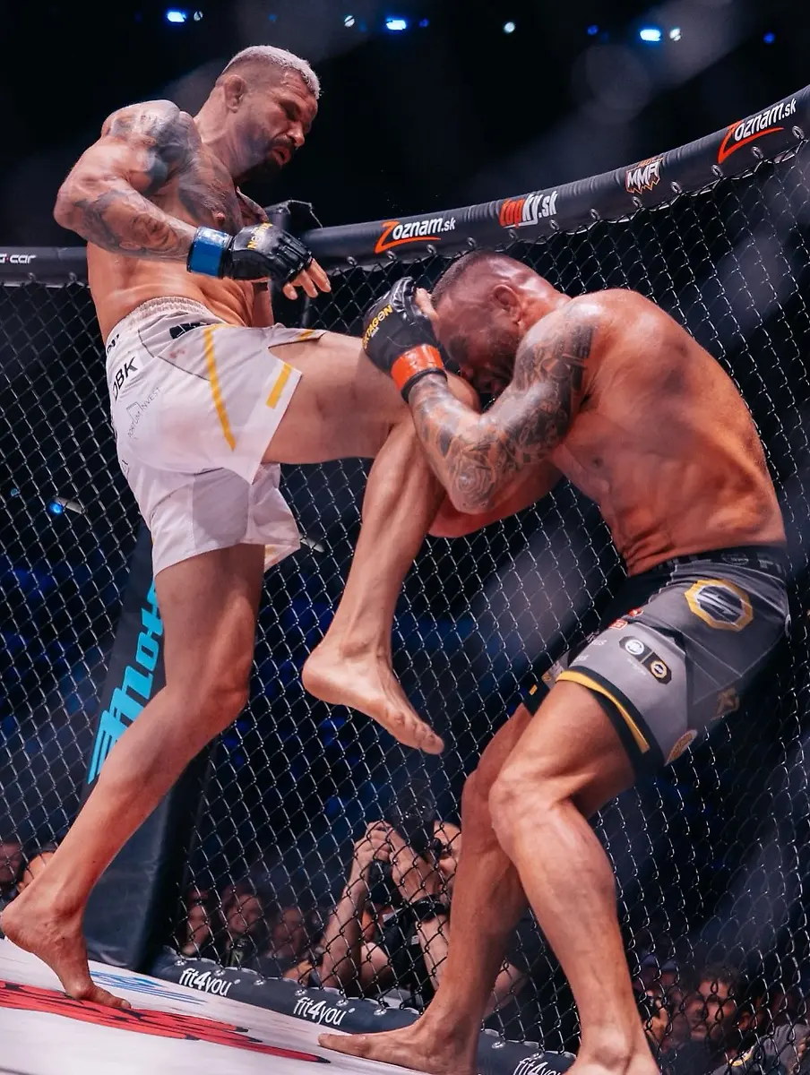 504183535-17898663579230281-5306749522455065058-n