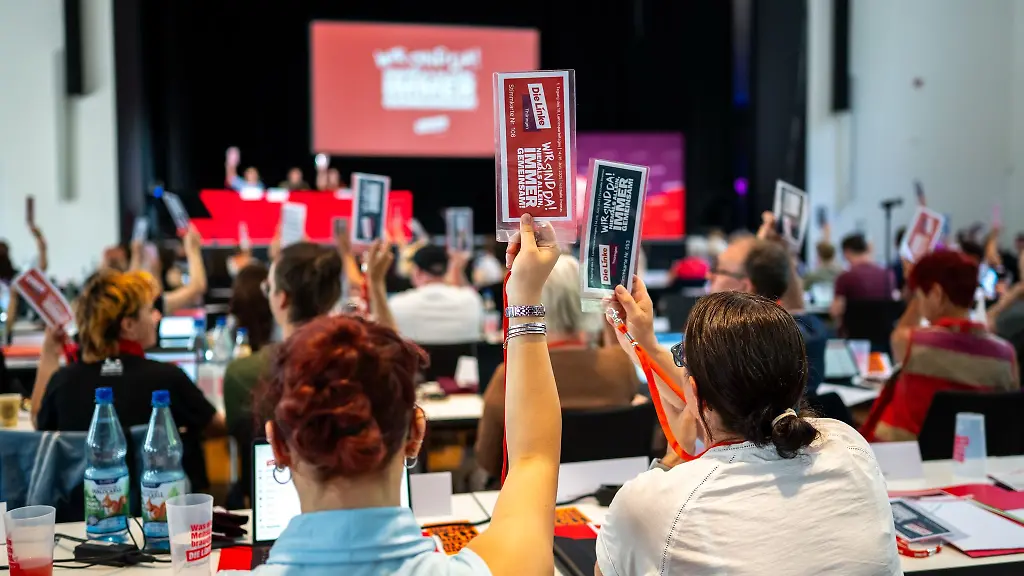 Die-Linke-erlaubt-nicht-dass-der-Fraktionsvorsitzende-in-einer-Uebergangszeit-auch-Parteichef-sein-kann