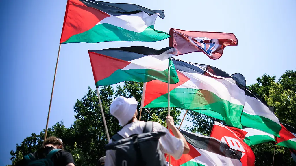 Zahlreiche-Menschen-hatten-Flaggen-dabei