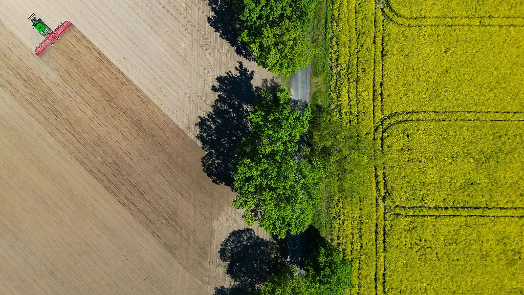 Nach-Angaben-des-Agrarmarketing-Verbandes-Pro-Agro-werden-in-Brandenburg-45-Prozent-der-Bodenflaeche-landwirtschaftlich-genutzt