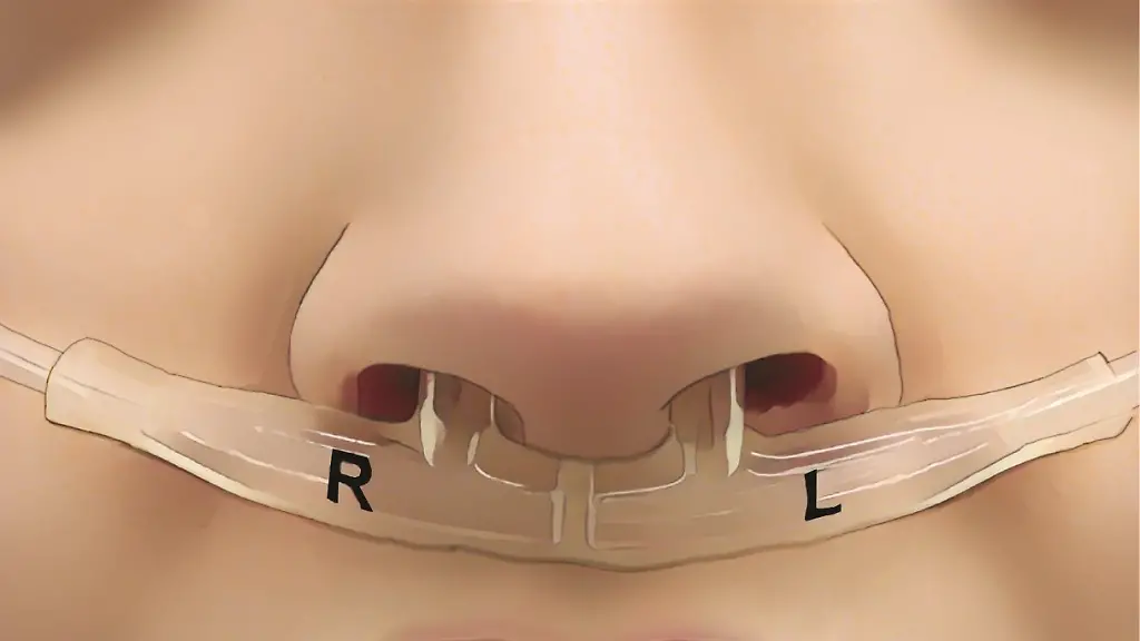 urn-binary-dpa-com-20090101-250606-99-85782-FILED