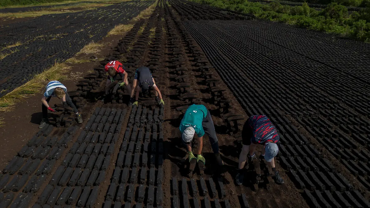 2025-06-07T113427Z-387566905-RC2GE8AFRJ44-RTRMADP-3-IRELAND-ENERGY-PEATLANDS