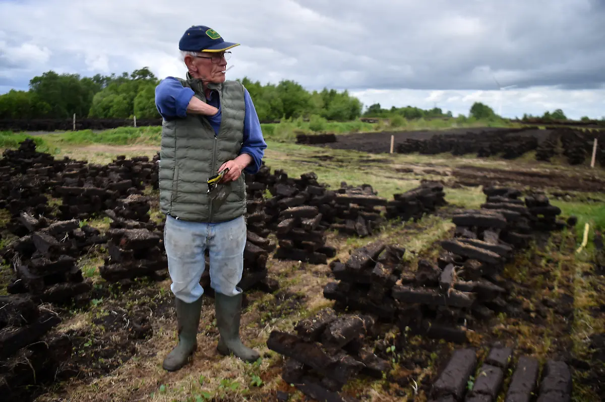 2025-06-07T113428Z-116011563-RC2EEU9GVJ6Y-RTRMADP-3-IRELAND-ENERGY-PEATLANDS