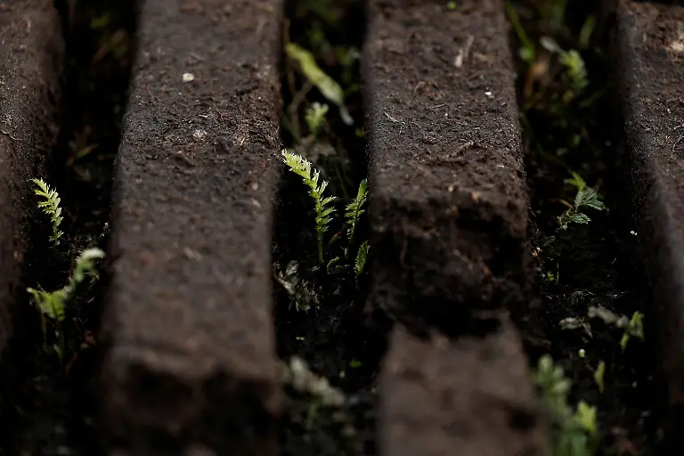 2025-06-07T113447Z-1923856719-RC2251AHF6YO-RTRMADP-3-IRELAND-ENERGY-PEATLANDS