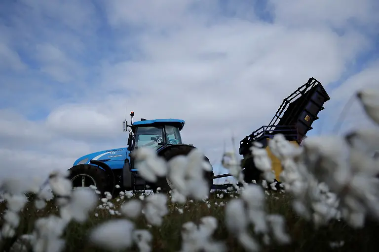 2025-06-07T113442Z-1708695427-RC2451AYQV7P-RTRMADP-3-IRELAND-ENERGY-PEATLANDS