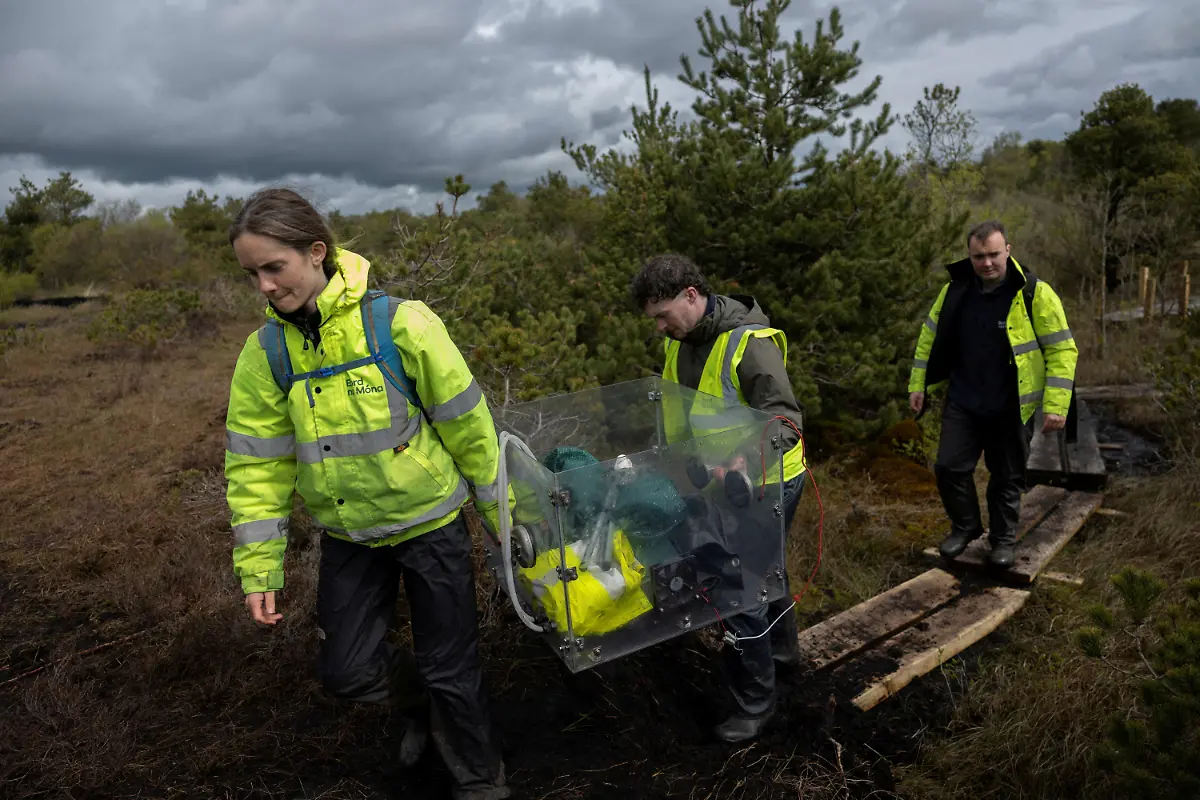 2025-06-07T113444Z-1166409698-RC2AG7A22QXN-RTRMADP-3-IRELAND-ENERGY-PEATLANDS