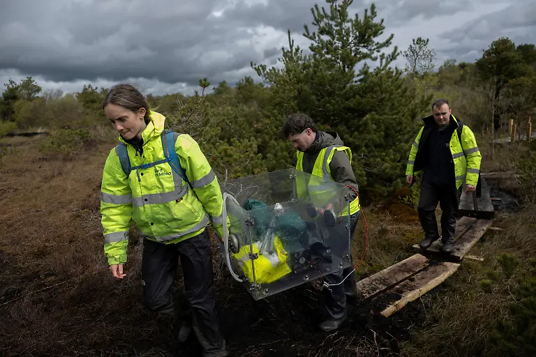 2025-06-07T113444Z-1166409698-RC2AG7A22QXN-RTRMADP-3-IRELAND-ENERGY-PEATLANDS