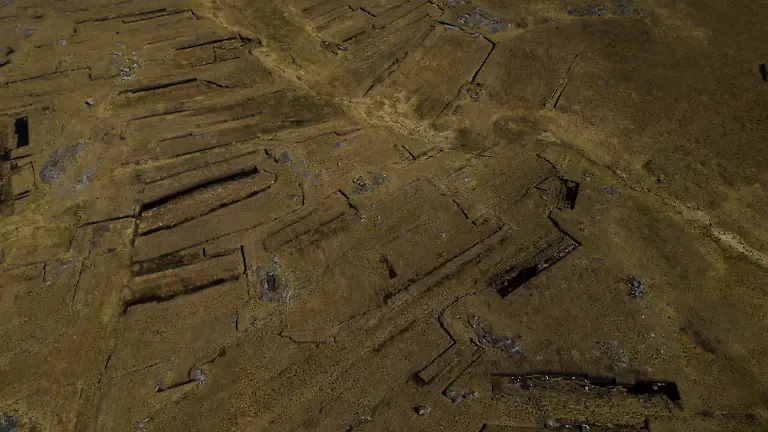 2025-06-07T113528Z-1243680113-RC2SB7ADPS1W-RTRMADP-3-IRELAND-ENERGY-PEATLANDS