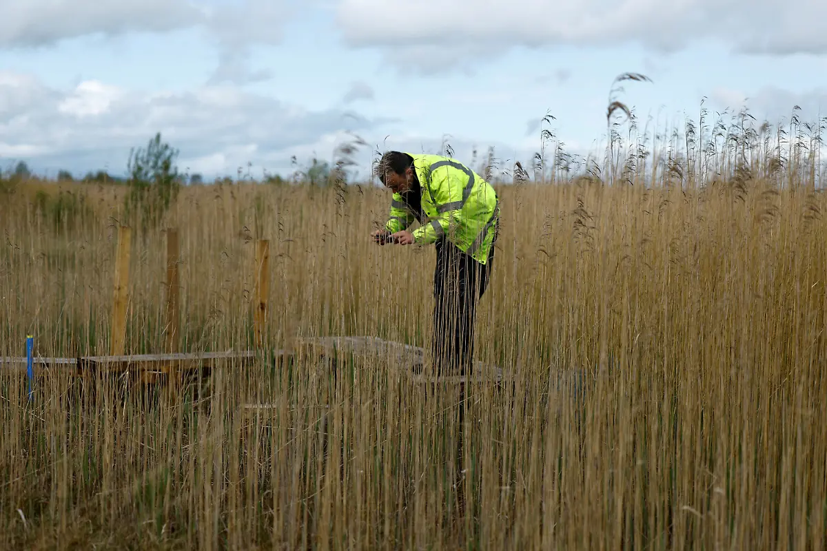 2025-06-07T113444Z-1808793316-RC2BG7ATQGFO-RTRMADP-3-IRELAND-ENERGY-PEATLANDS
