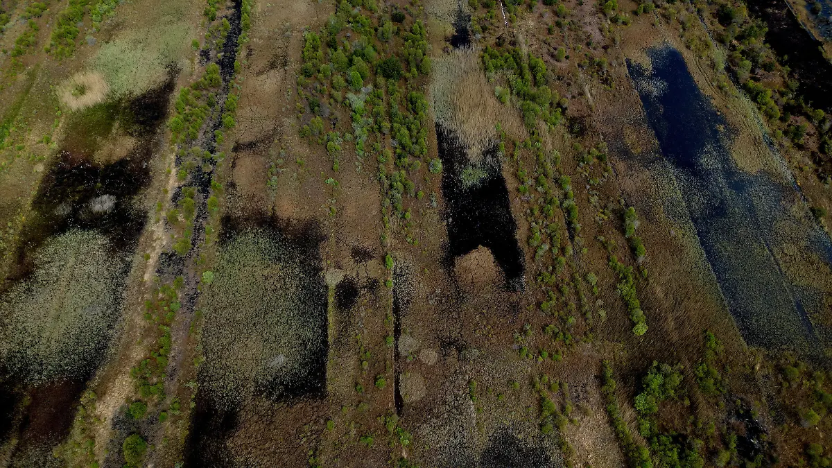 2025-06-07T113502Z-1581858586-RC2CG7A6O9OA-RTRMADP-3-IRELAND-ENERGY-PEATLANDS